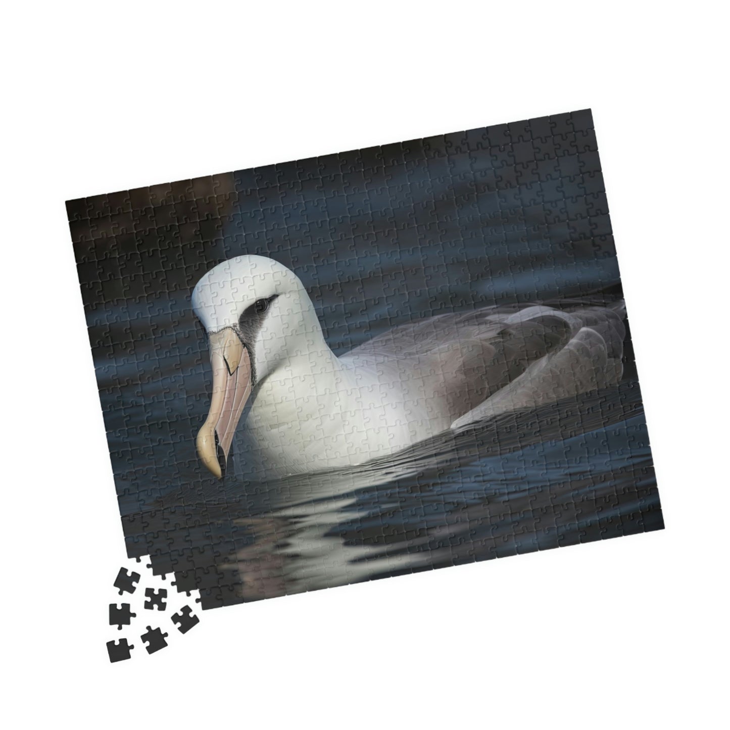 albatross puzzle
