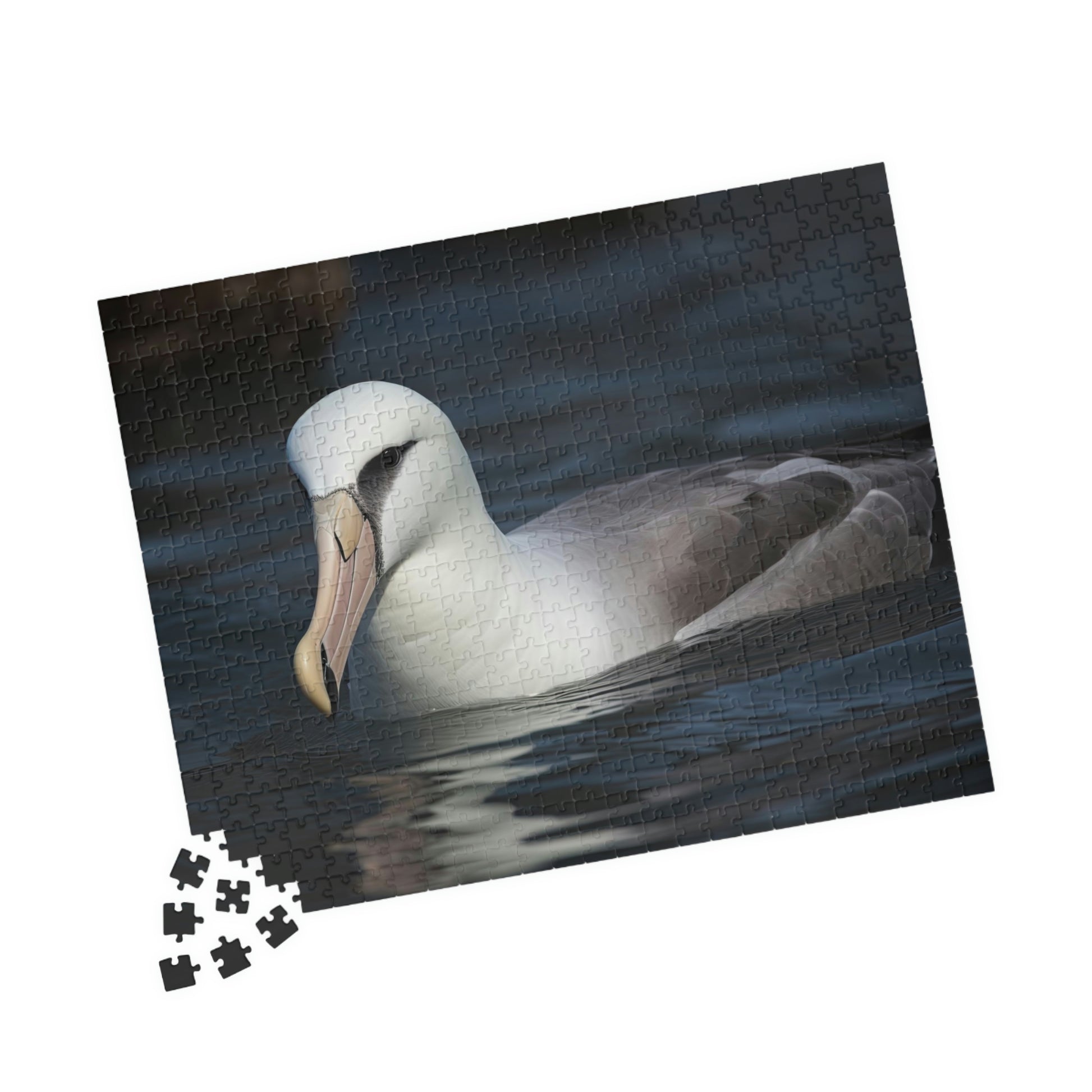 albatross puzzle