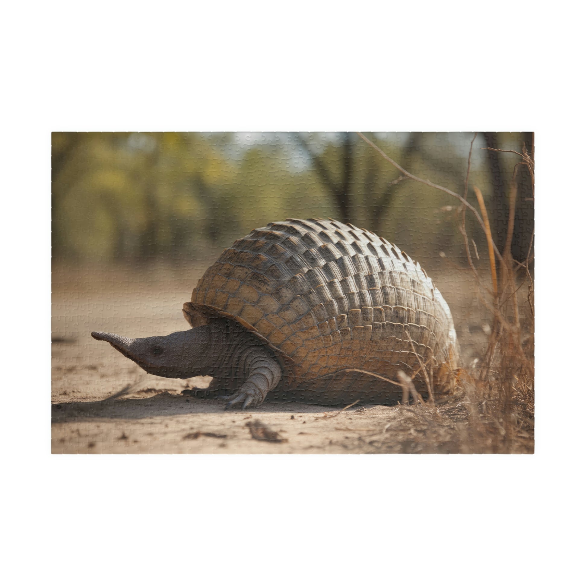 armadillo jigsaw puzzle