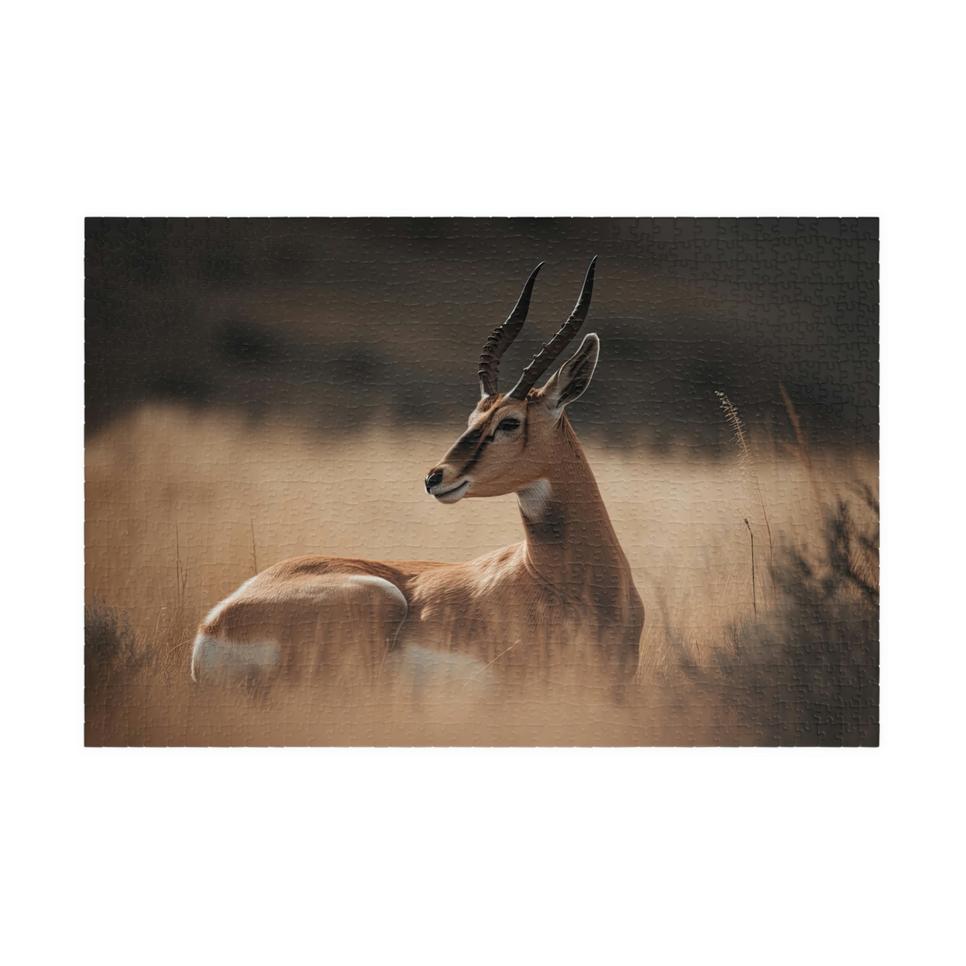 antelope puzzle