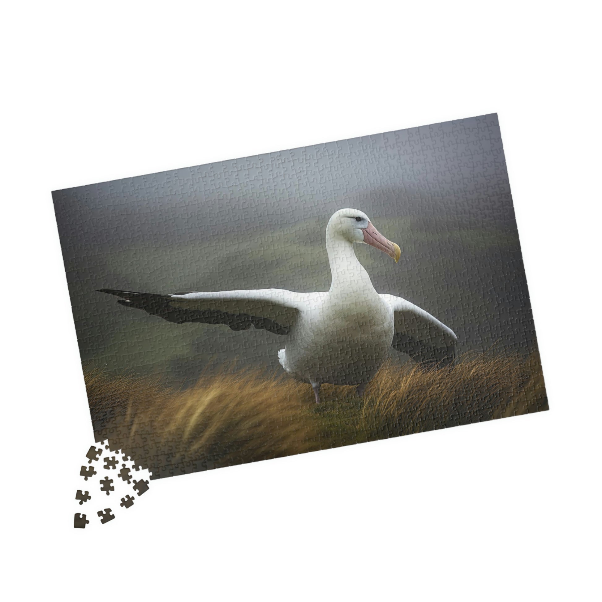 albatross puzzle pieces