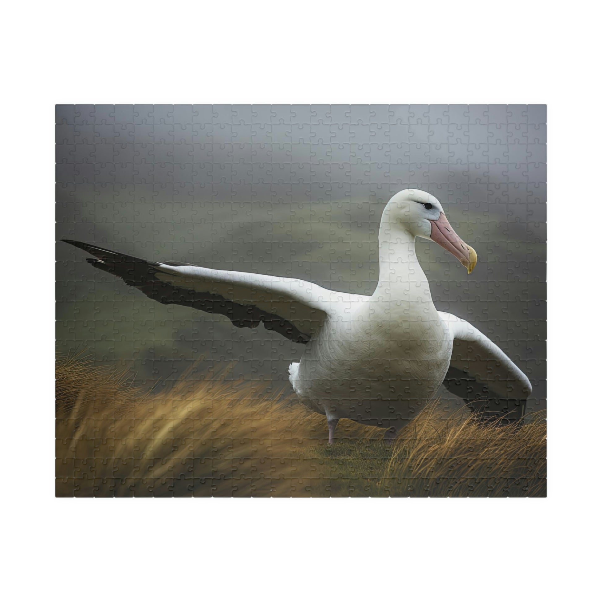 albatross puzzle