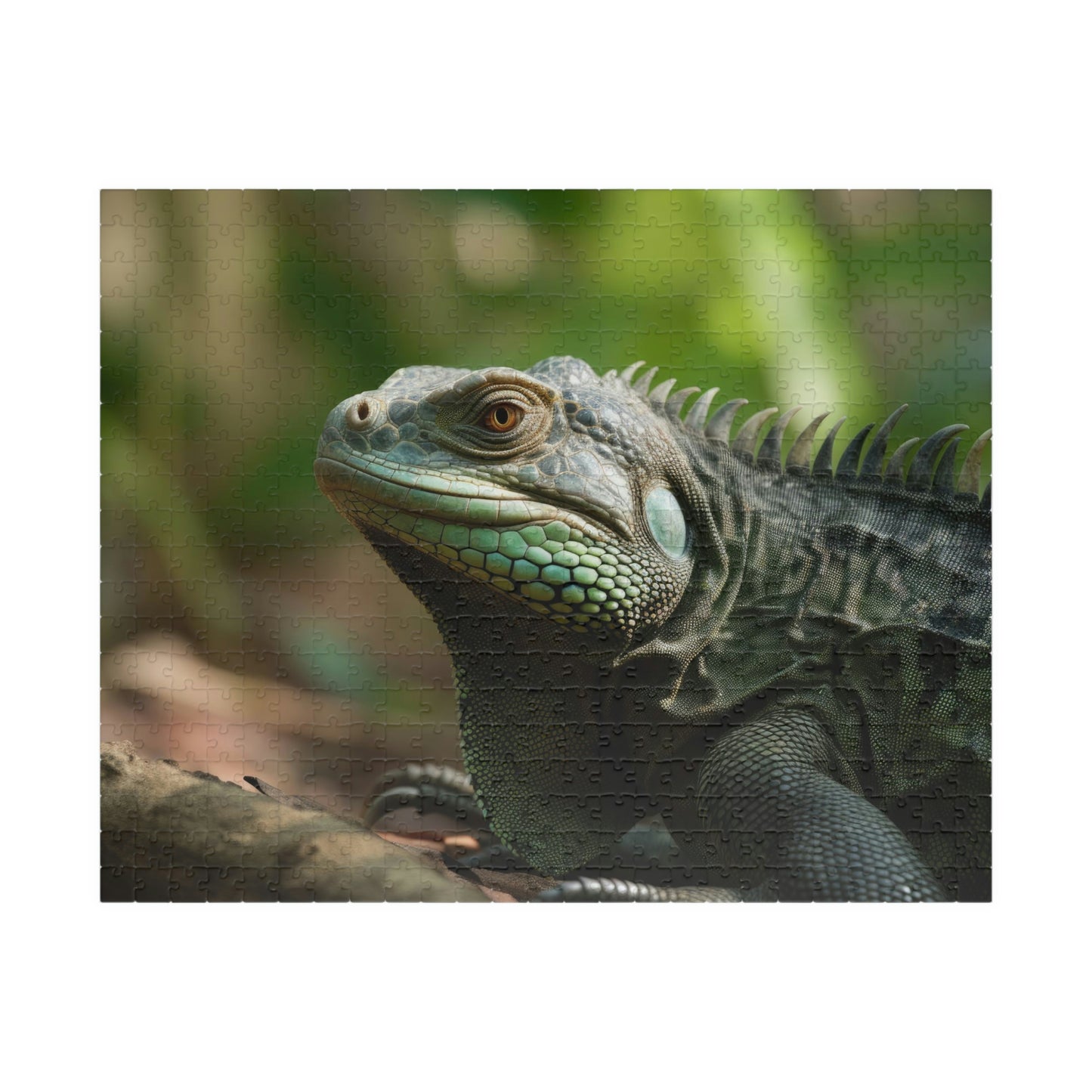 Iguana Puzzle (500, 1014-piece)