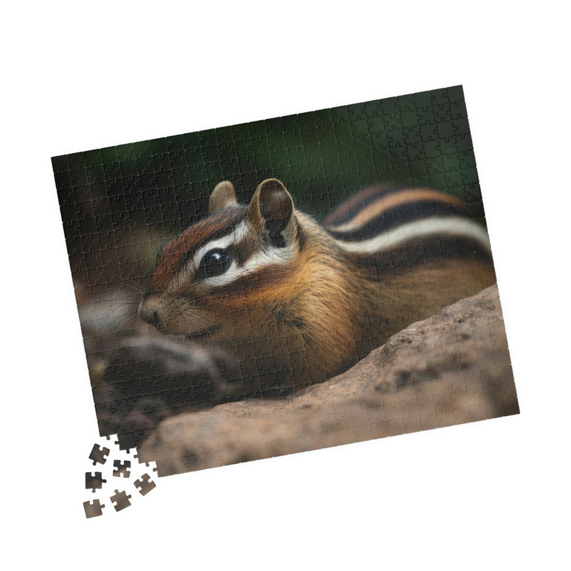 chipmunk puzzle pieces