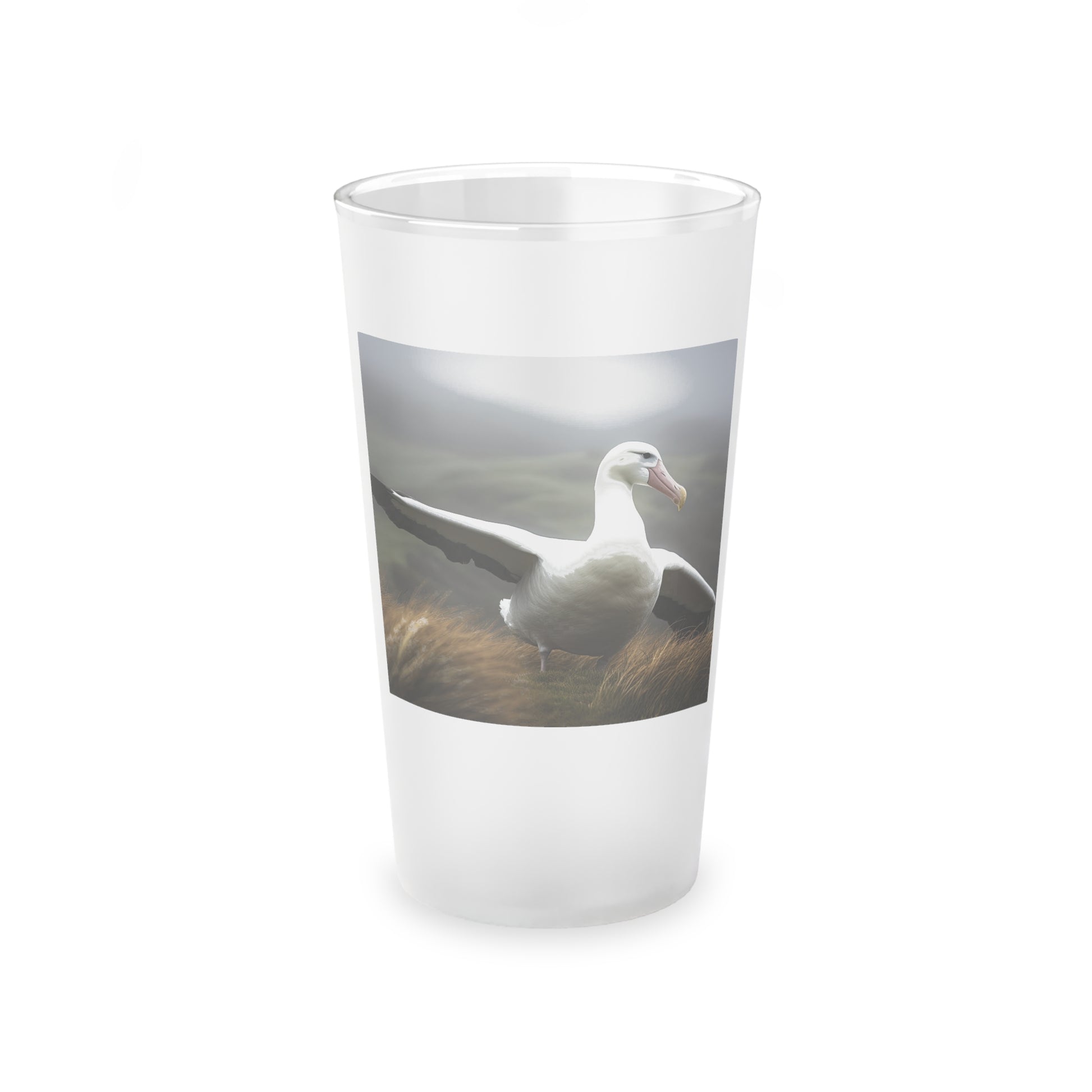 albatross glass