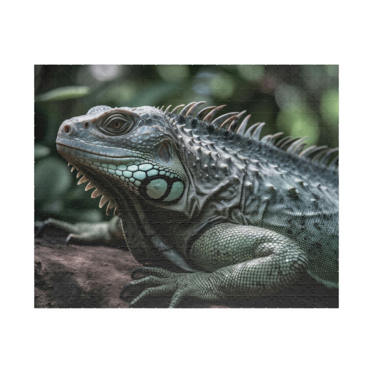 Iguana Puzzle (500, 1014-piece)