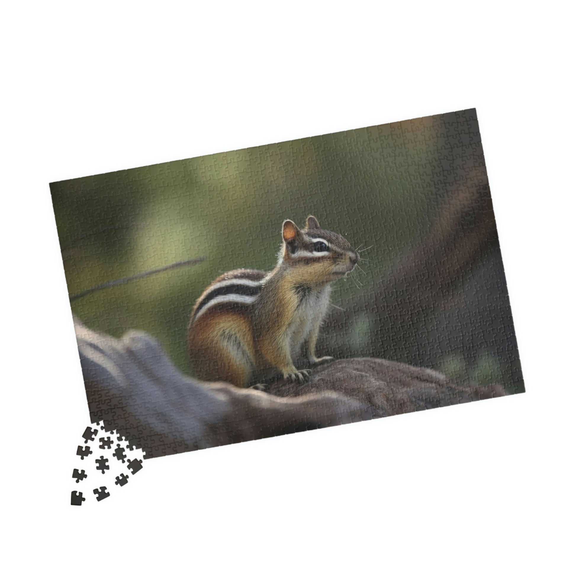 chipmunk puzzle pieces