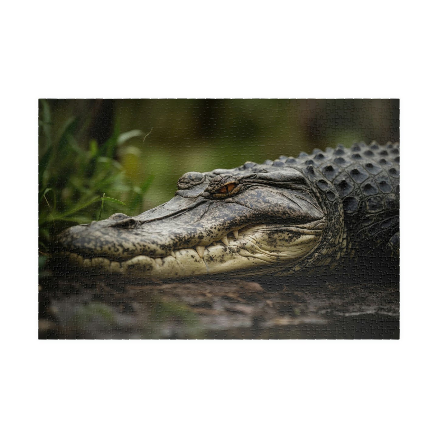 alligator jigsaw puzzle