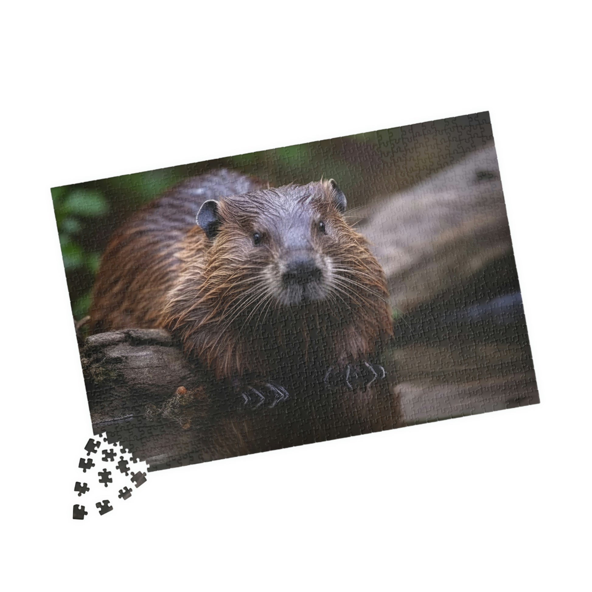 beaver puzzle pieces