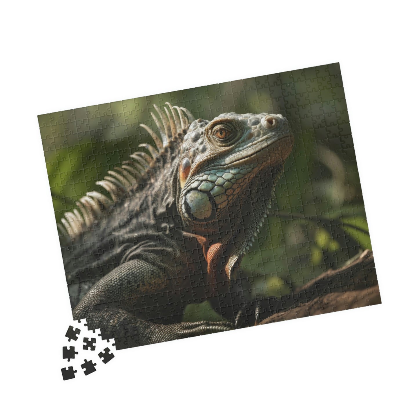 Iguana Puzzle (500, 1014-piece)