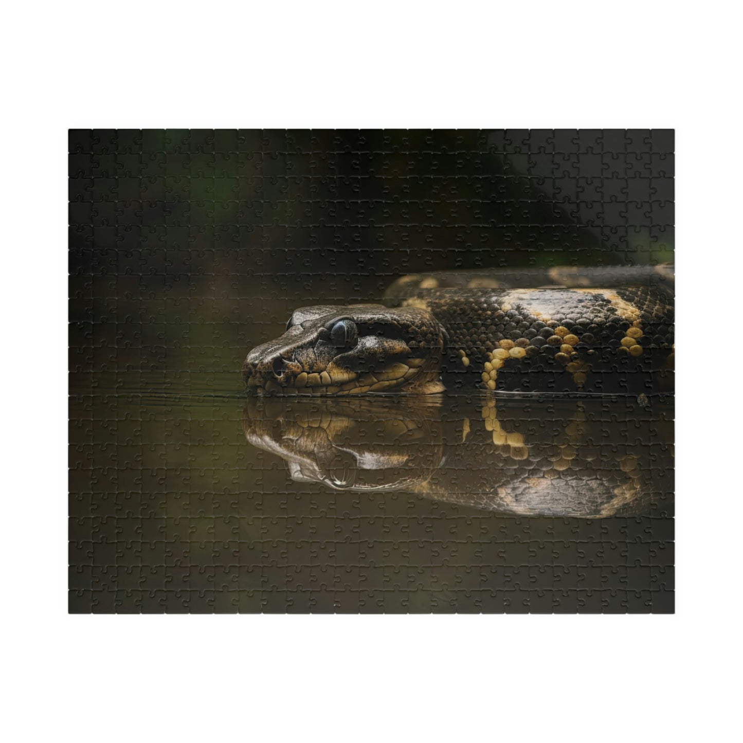 anaconda puzzle
