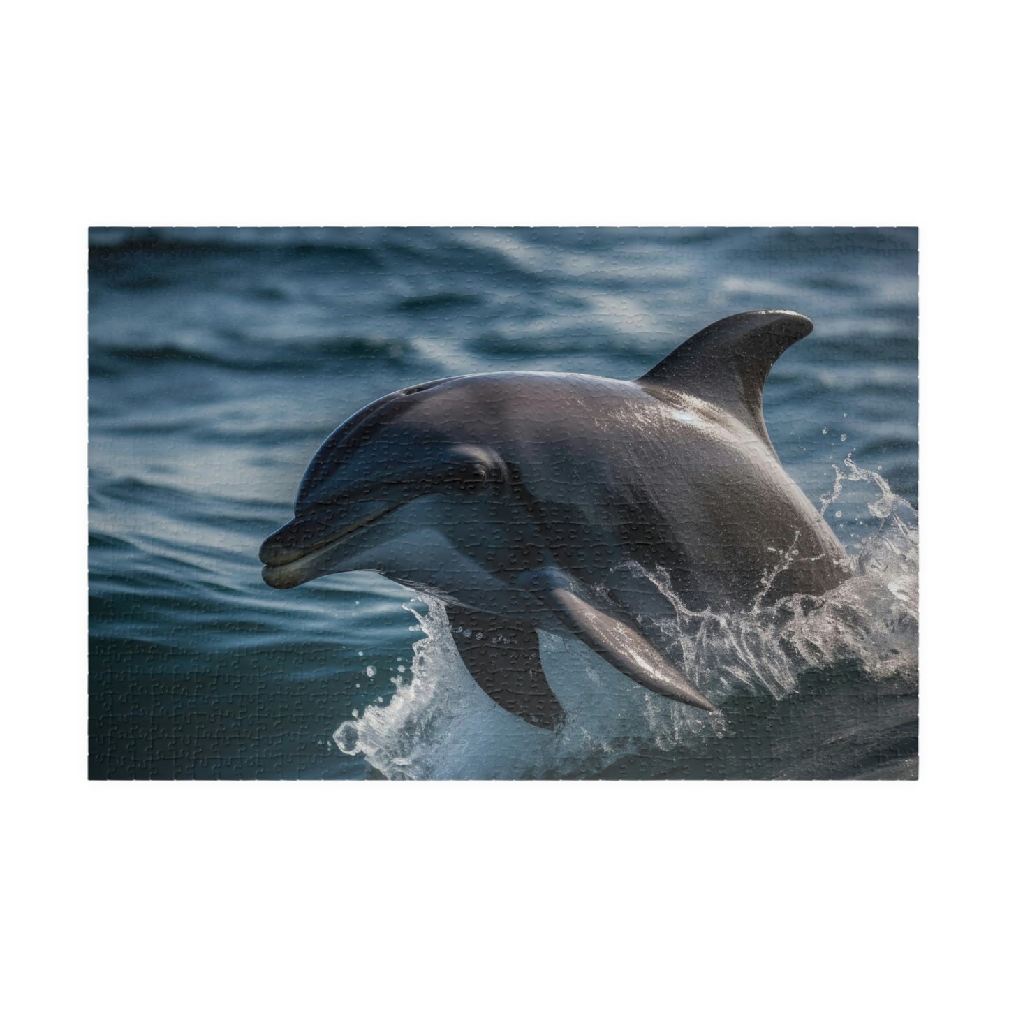 Dolphin Puzzle (500, 1014-piece)