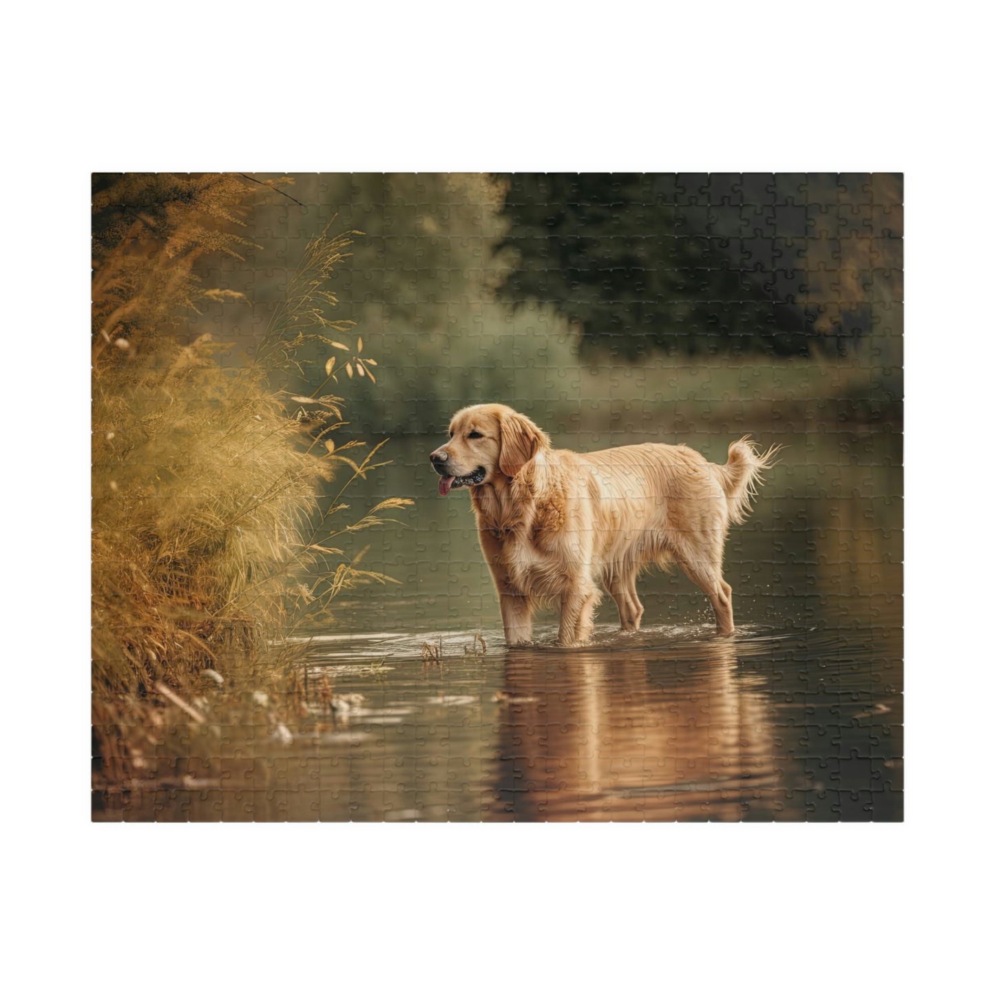 Golden Retriever Puzzle (500, 1014-piece)