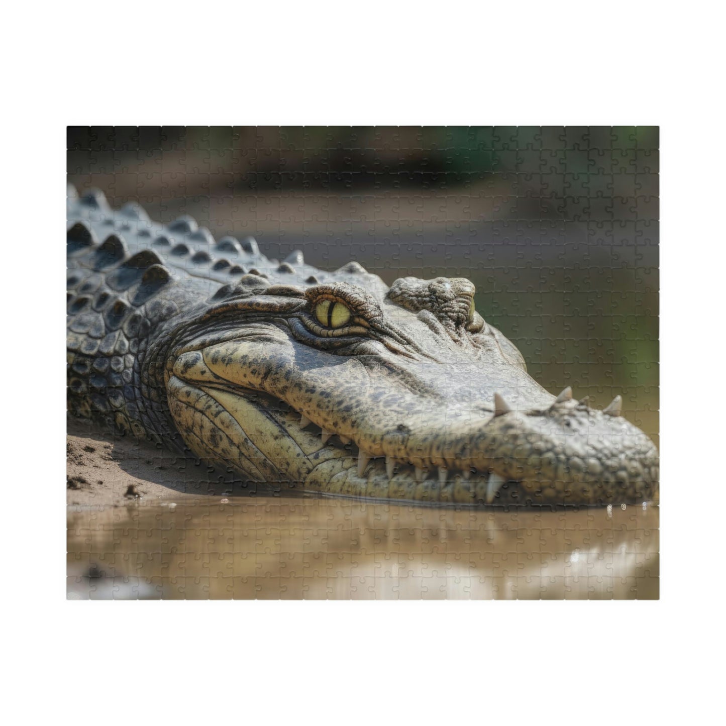 Crocodile Puzzle (500, 1014-piece)