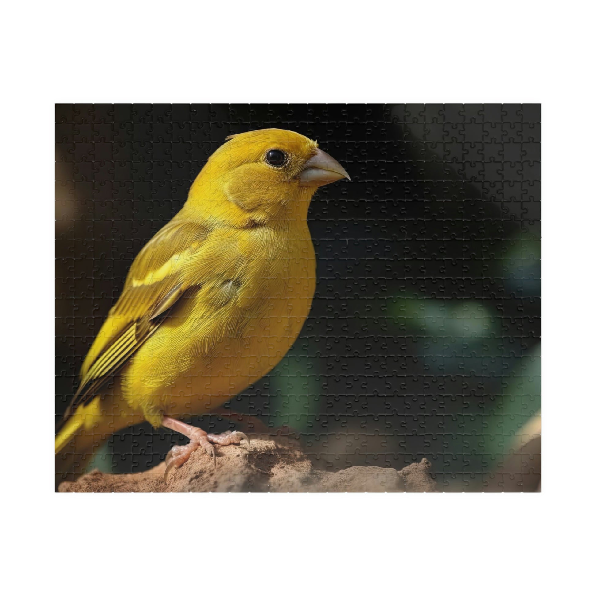 canary puzzle