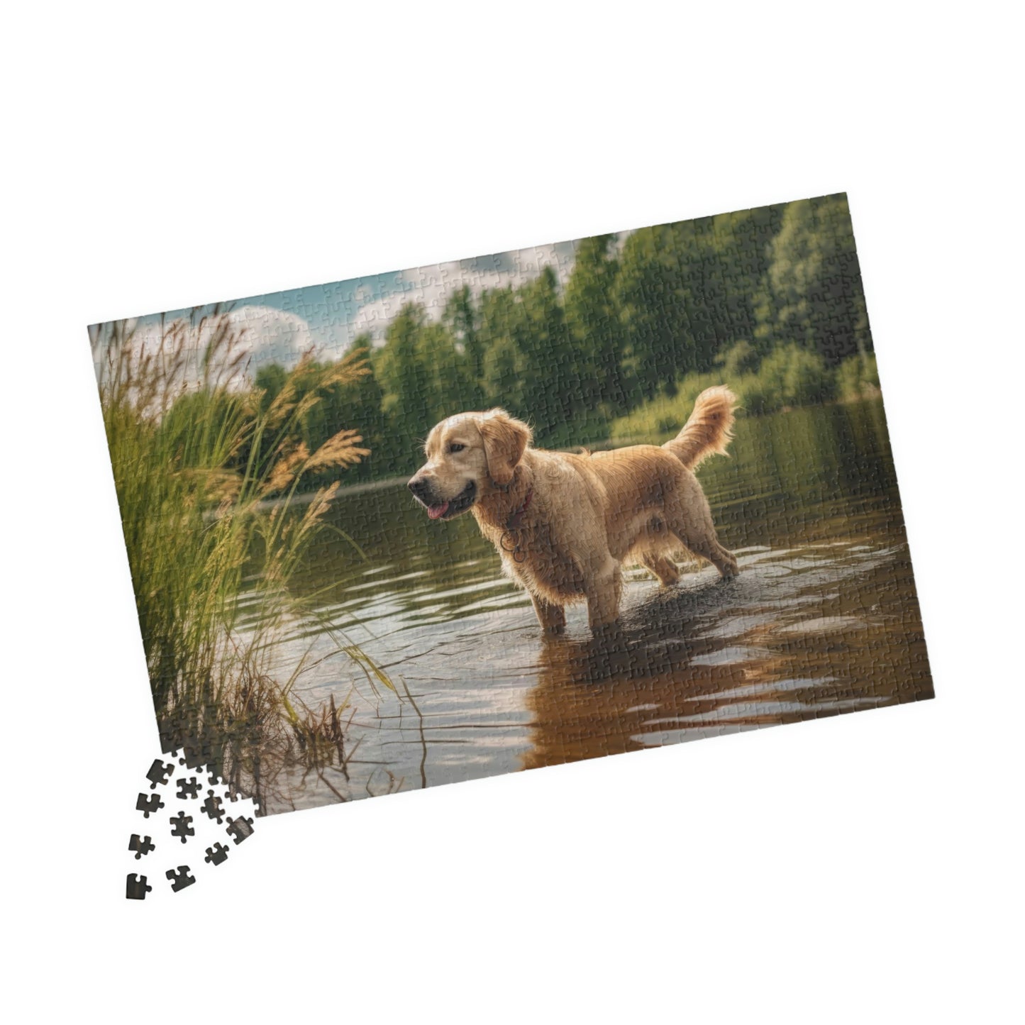 Golden Retriever Puzzle (500, 1014-piece)