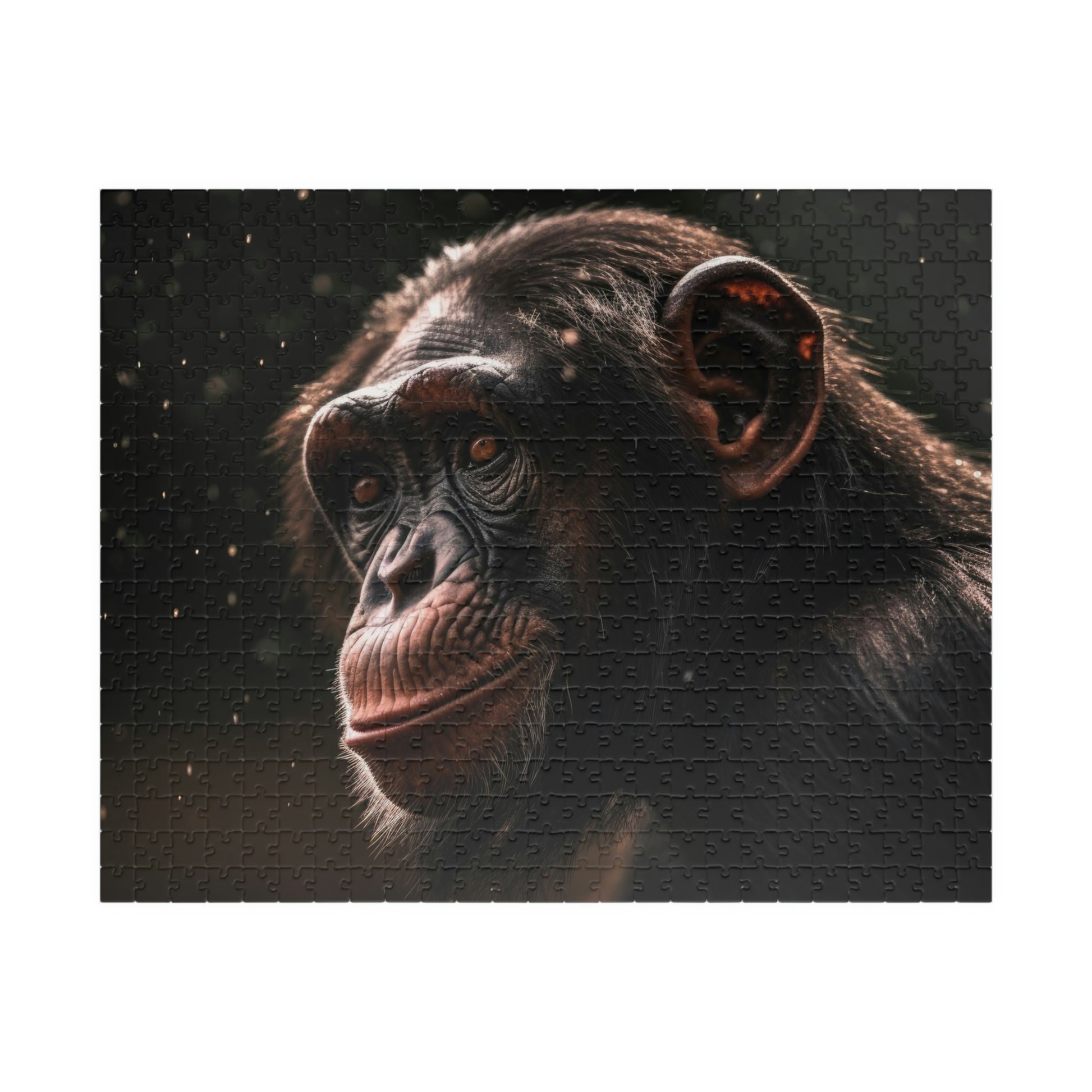 jigsaw puzzle
