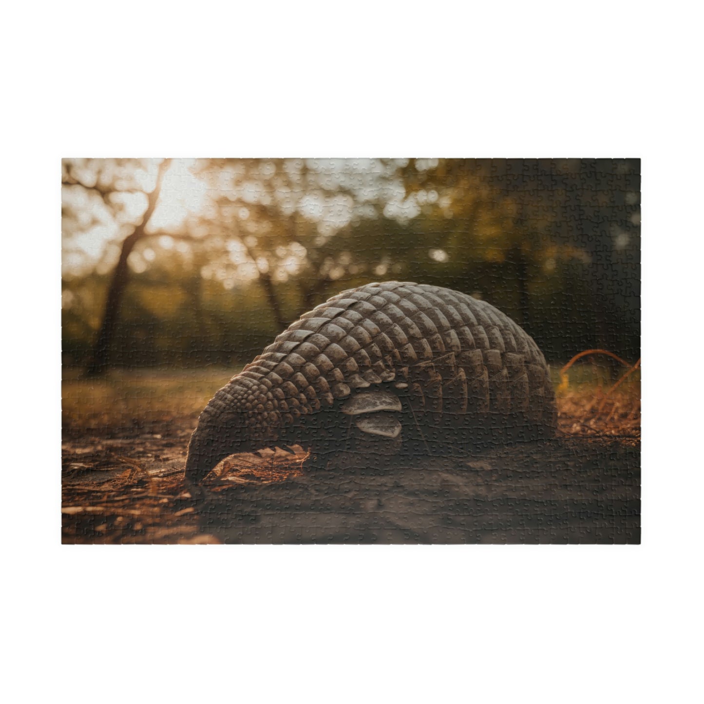 armadillo puzzle