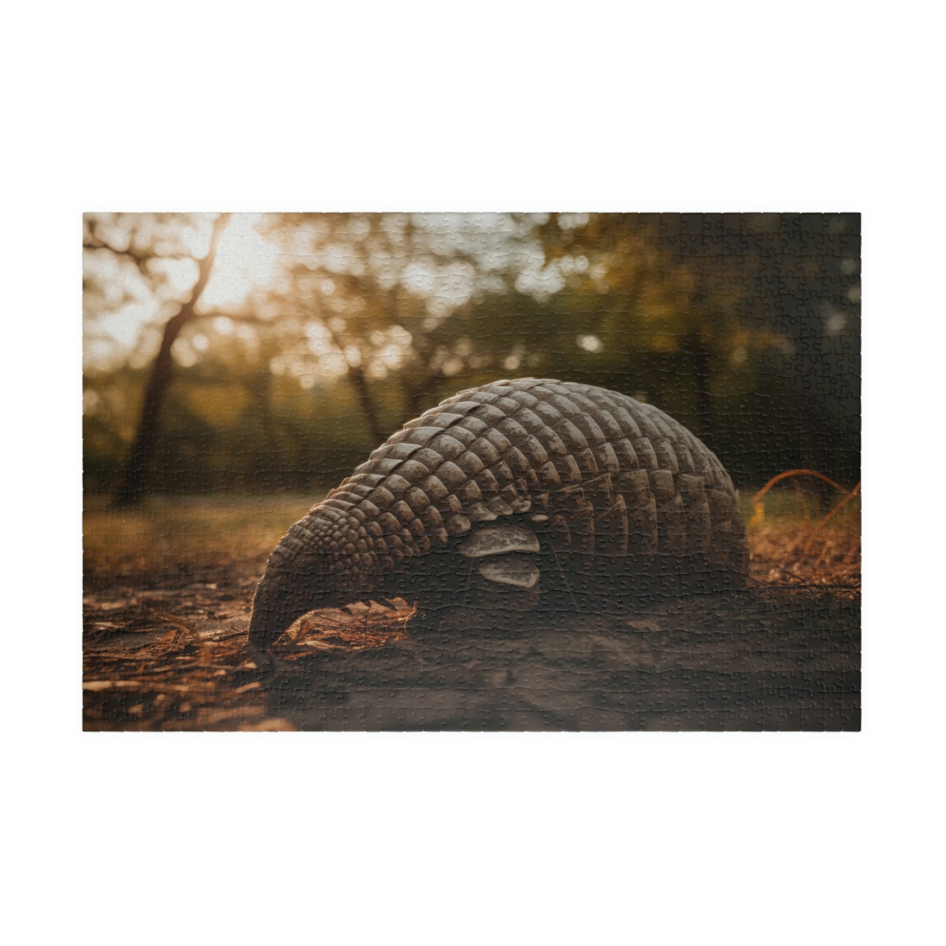 armadillo puzzle