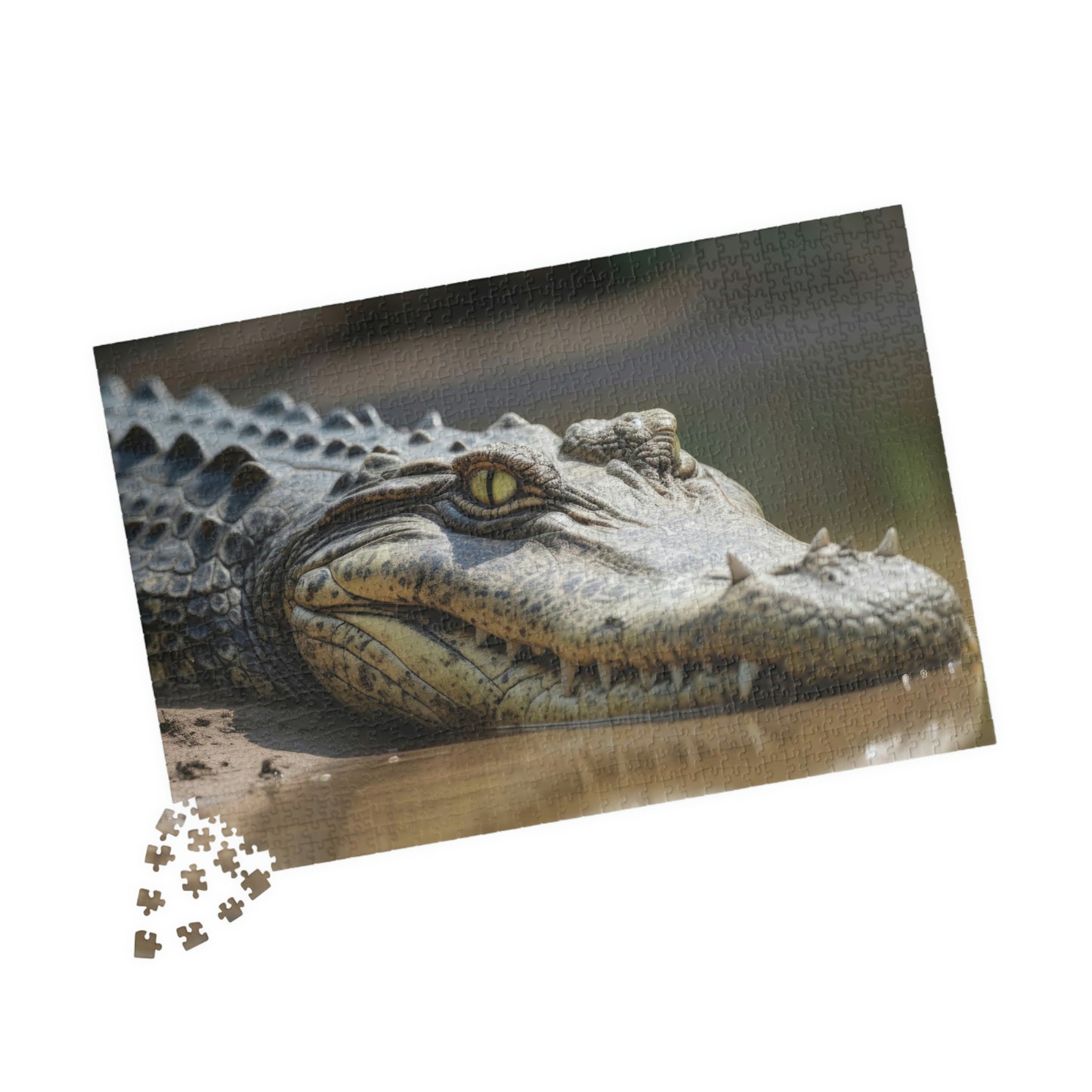 Crocodile Puzzle (500, 1014-piece)