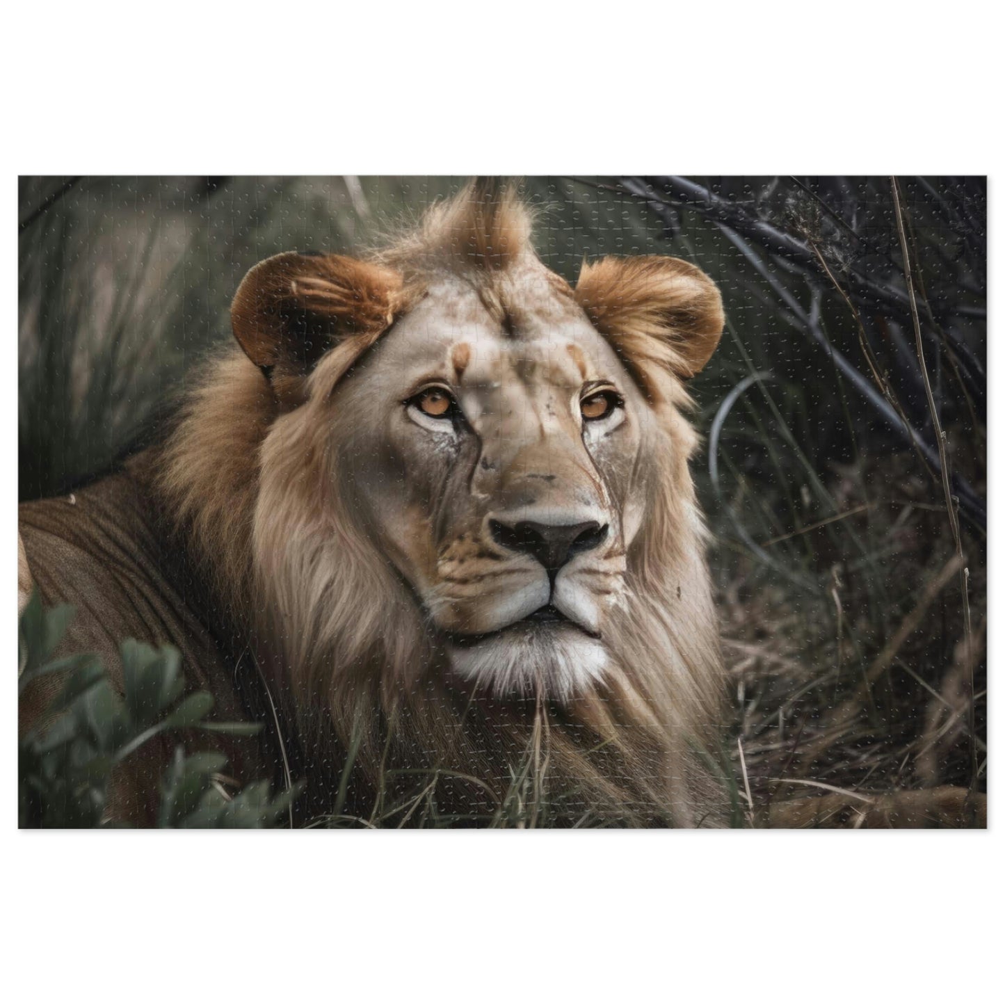 Majestic Lion 1 Puzzle: (500, 1000 pc)