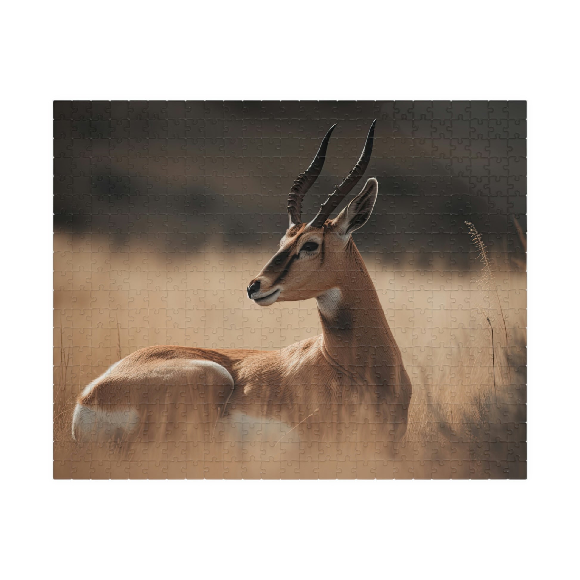 antelope jigsaw puzzle