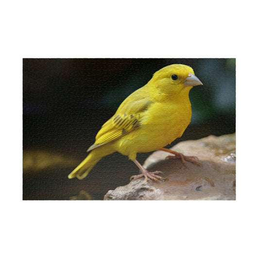 canary puzzle