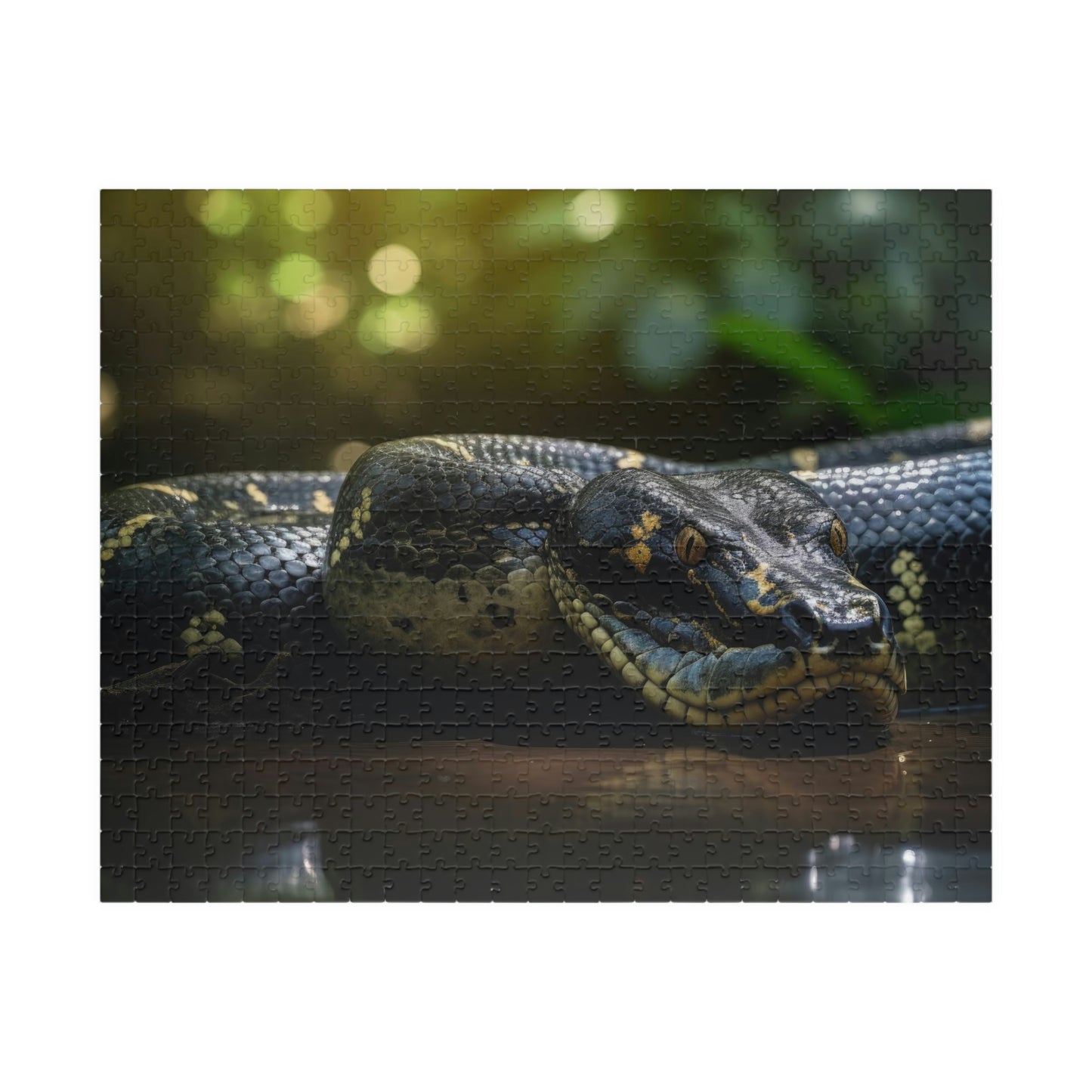 anaconda puzzle