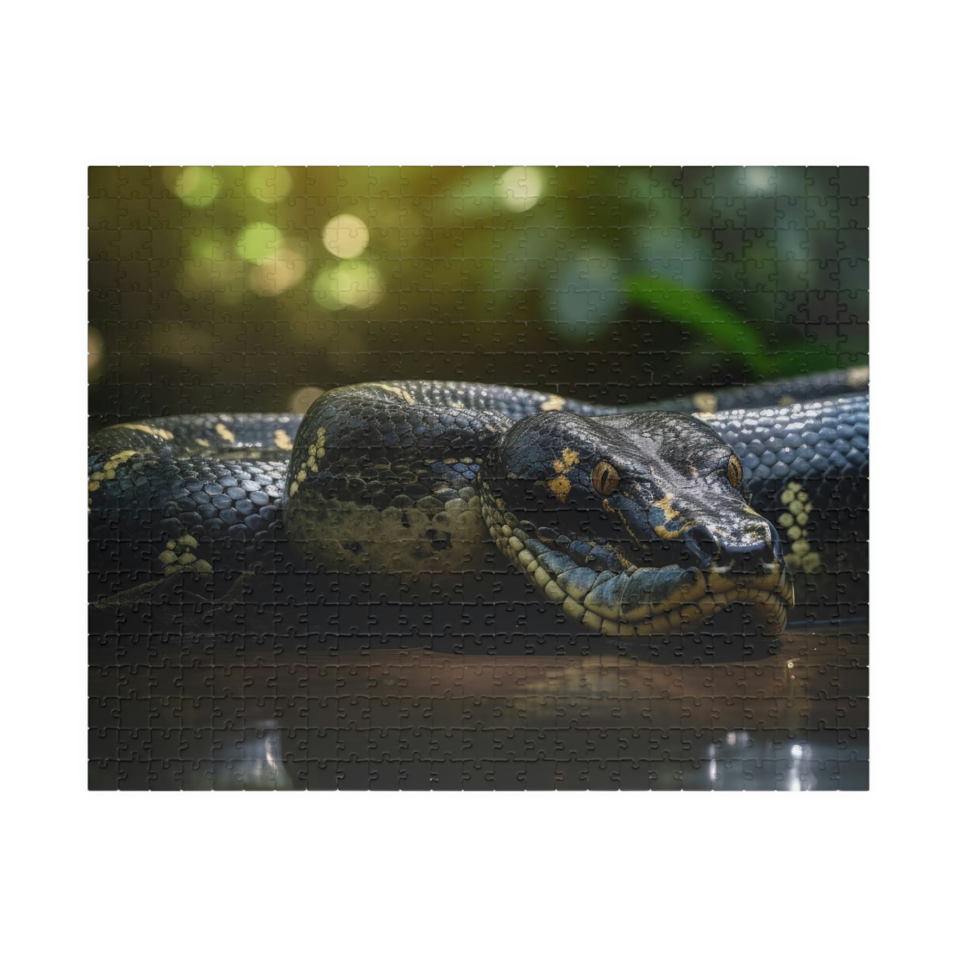 anaconda puzzle