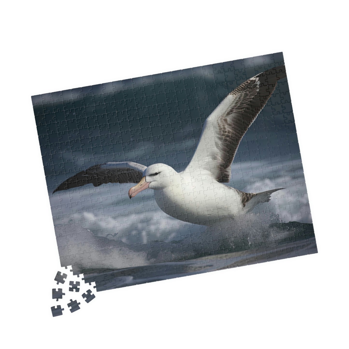 albatross puzzle pieces