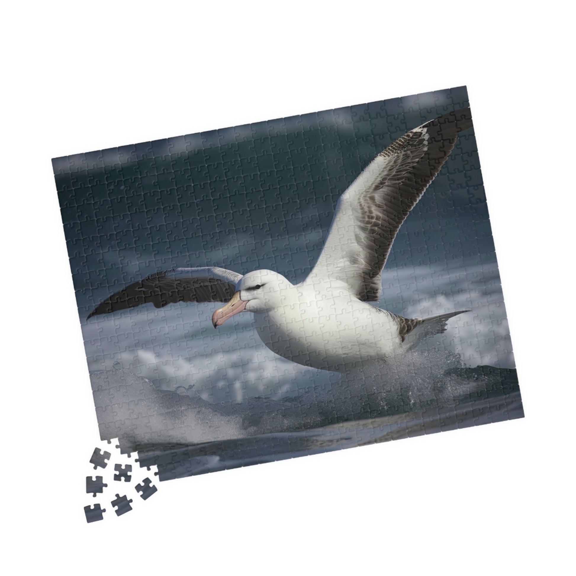 albatross puzzle pieces