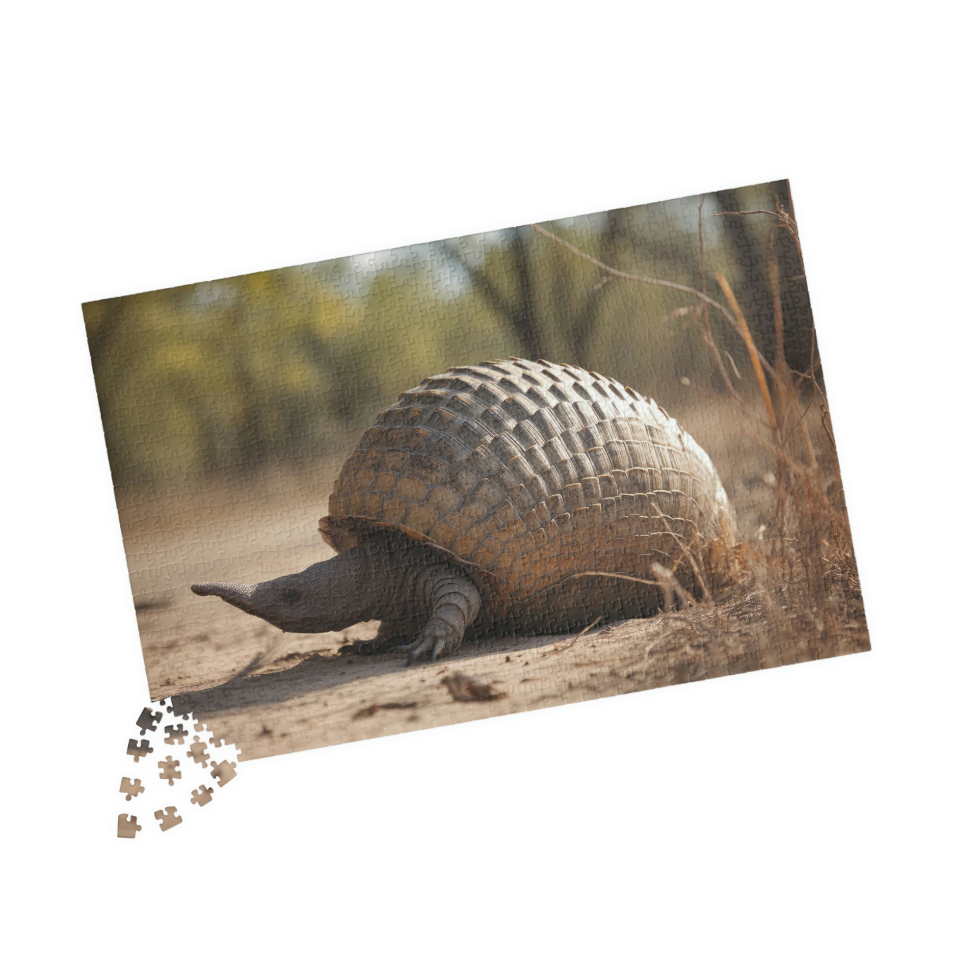 armadillo jigsaw puzzle pieces