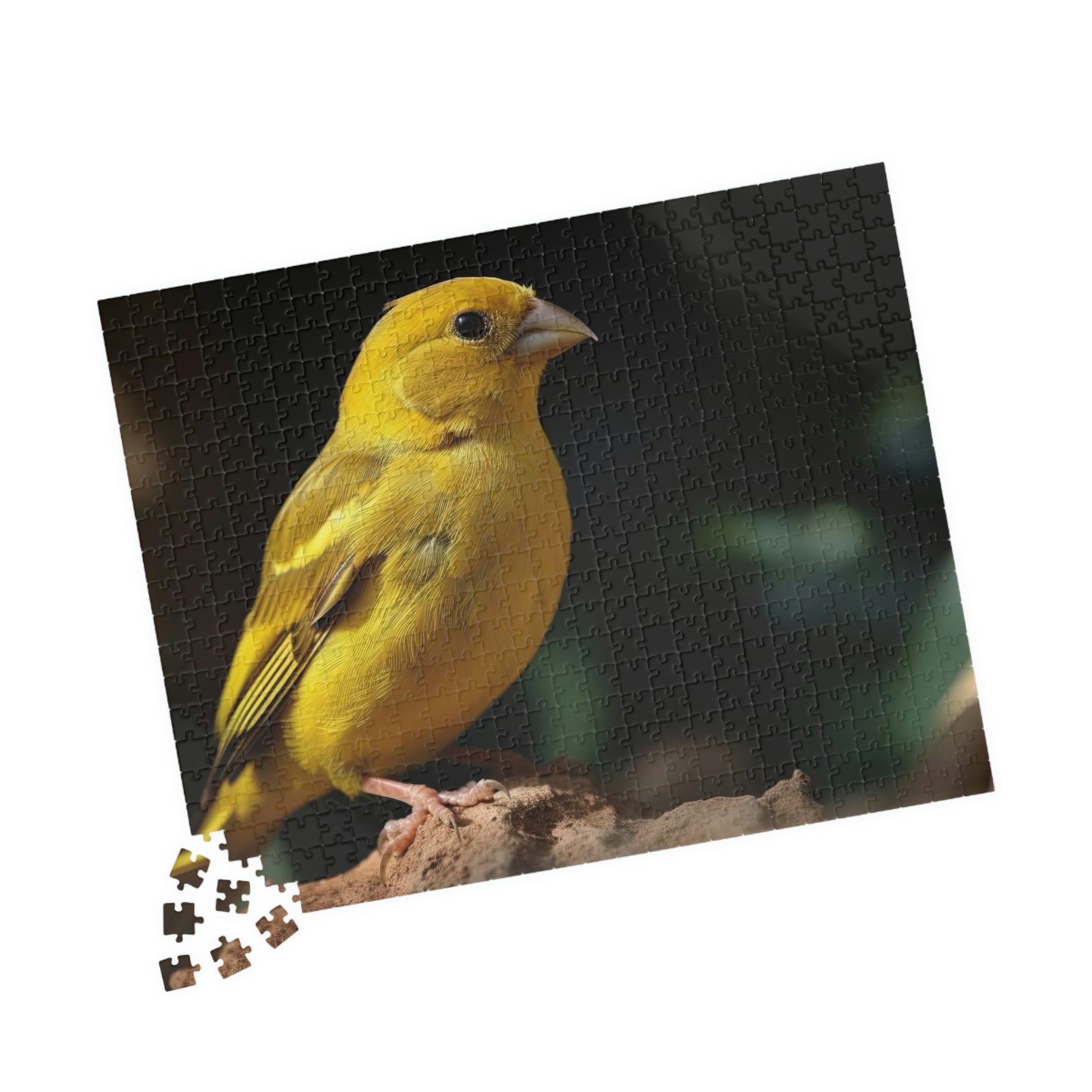 canary jigsaw puzzle