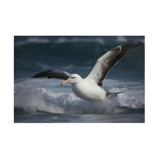 albatross puzzle