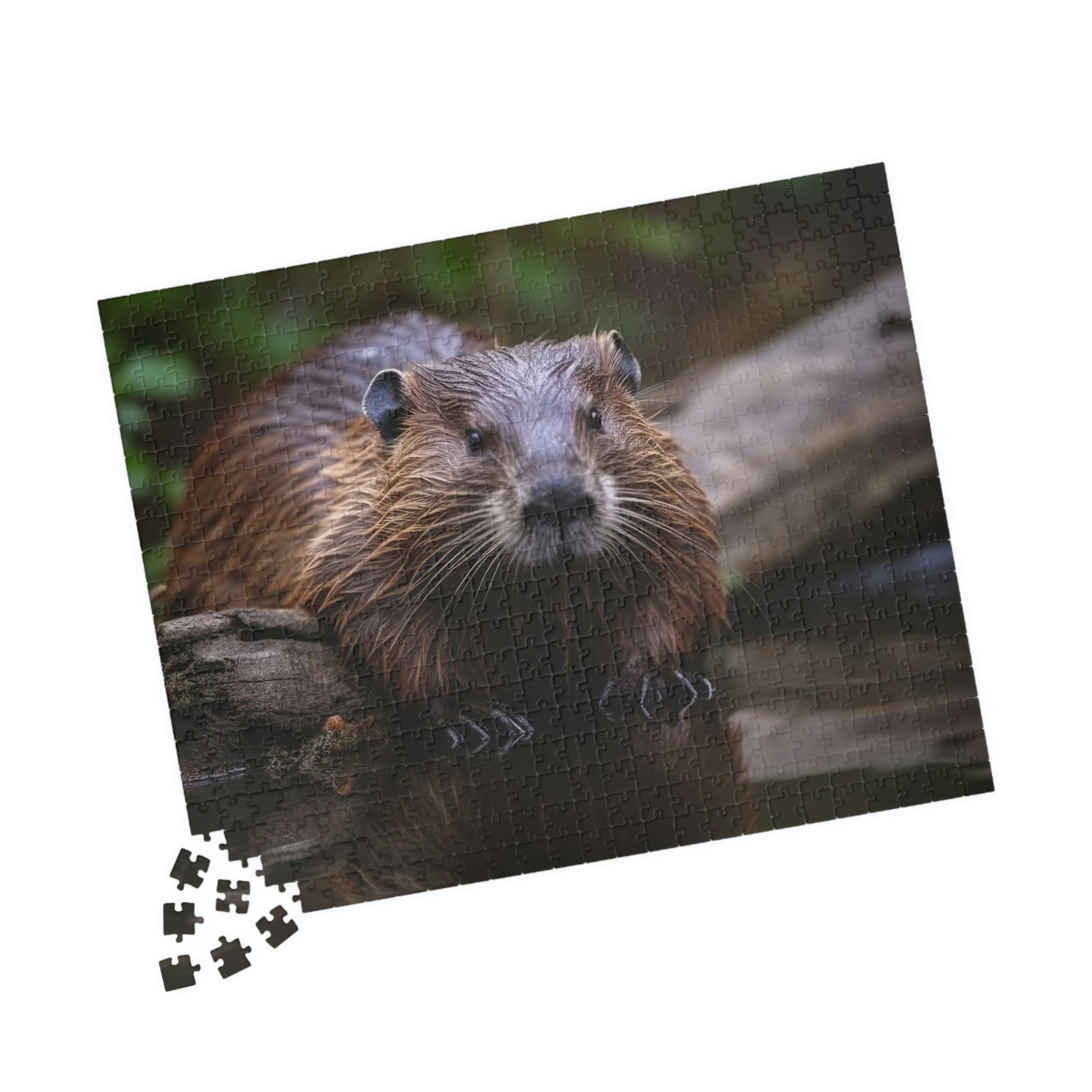 beaver jigsaw puzzle pieces