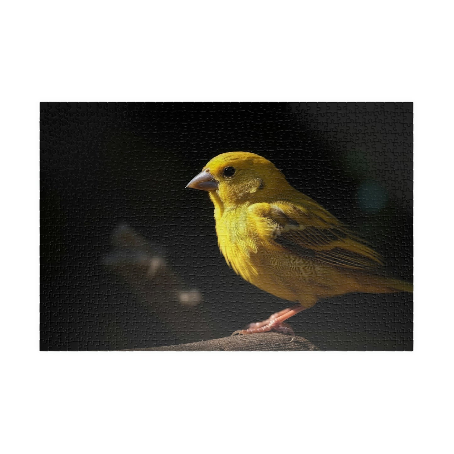 canary puzzle