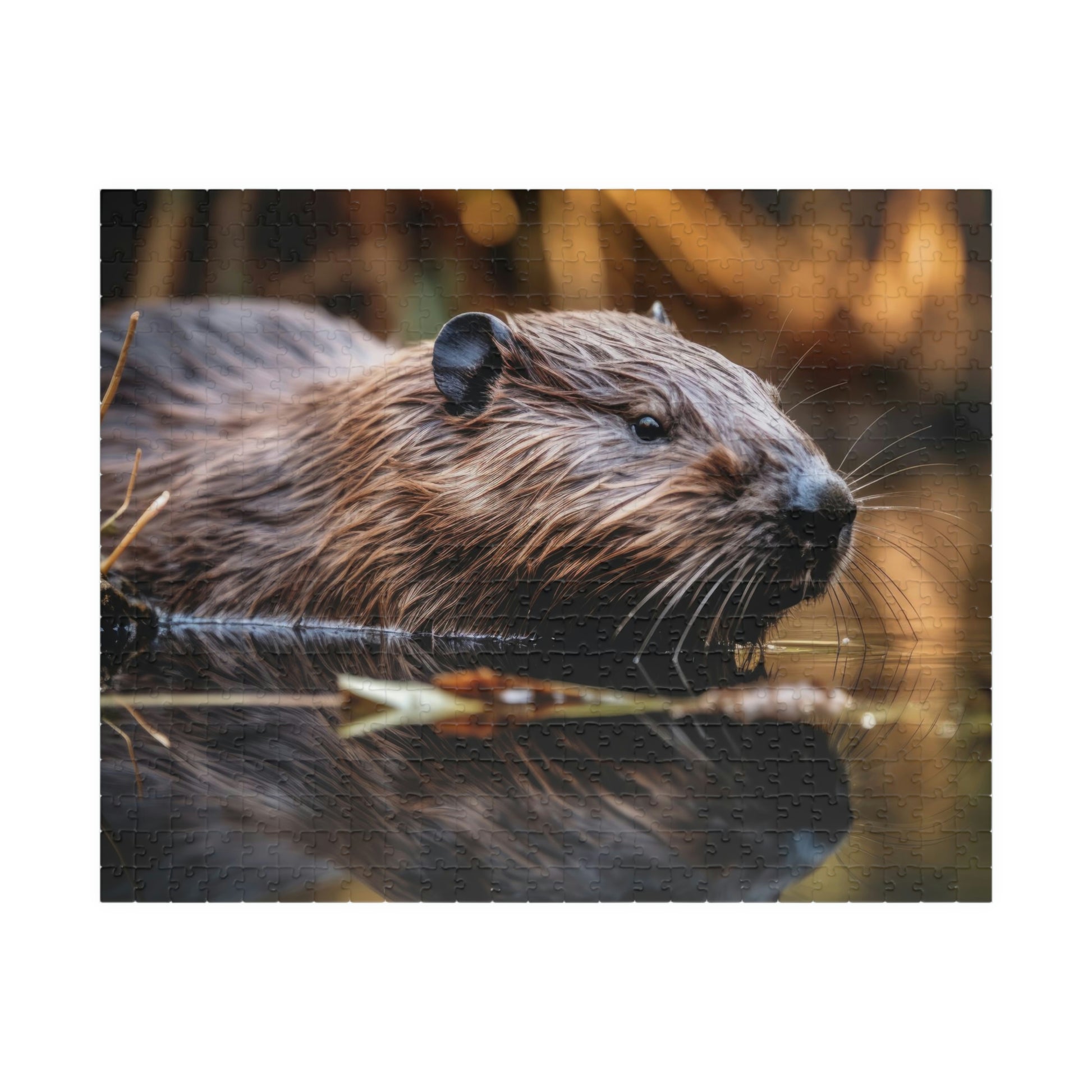 beaver puzzle
