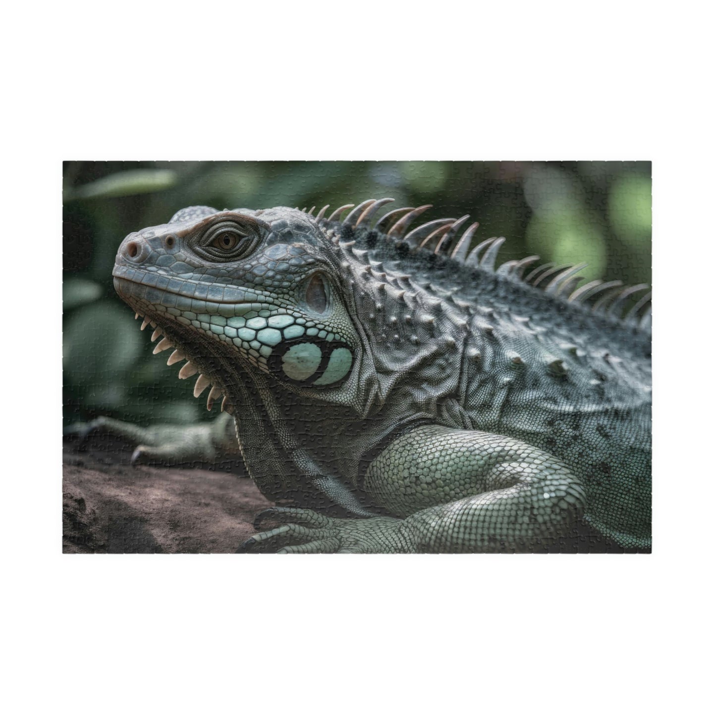 Iguana Puzzle (500, 1014-piece)