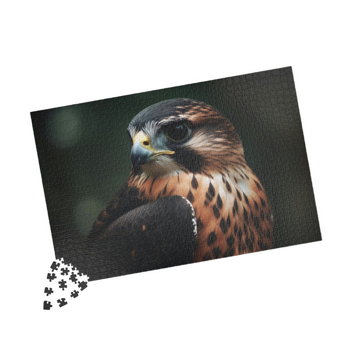 Falcon Puzzle (500, 1014-piece)