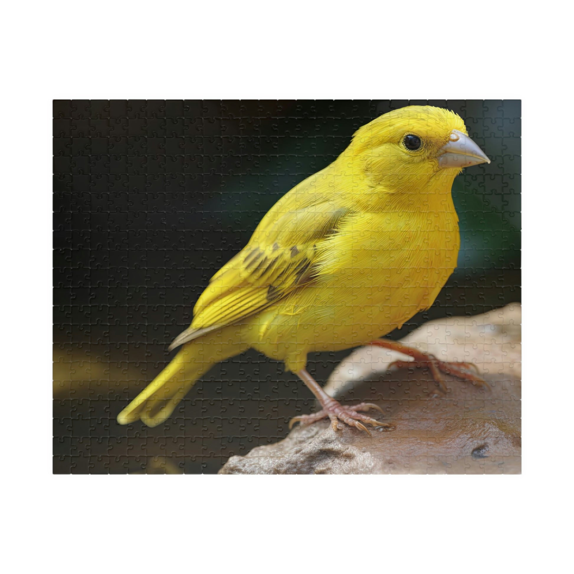 canary jigsaw puzzle